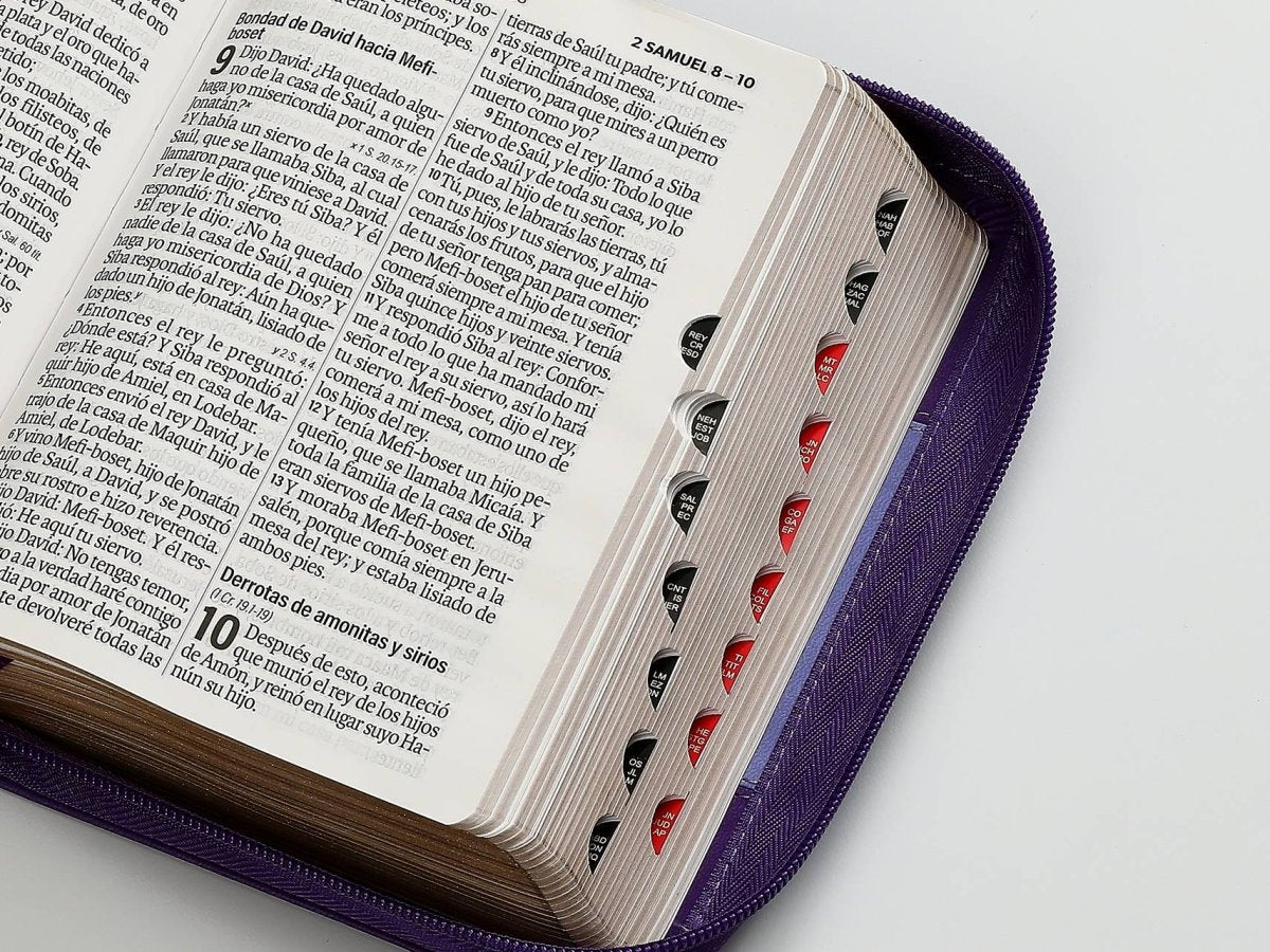 Biblia Reina Valera 1960 045Czti L 10P 11X16Cm Pjr I/Piel Bicolor Lila/Lila