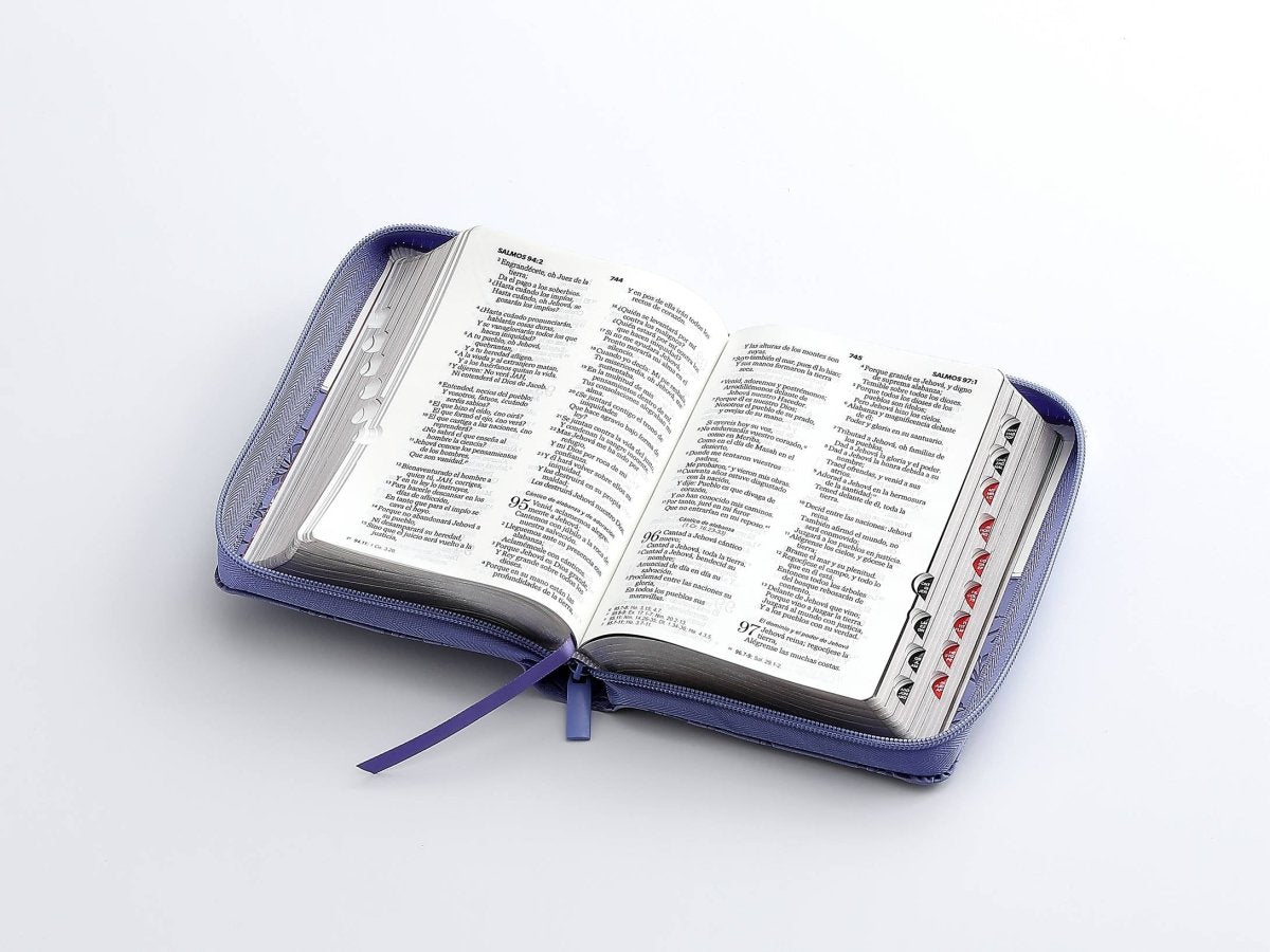 Biblia Reina Valera 1960 045Cti L 10P 11X16 Quinceañera Lila/Blanco