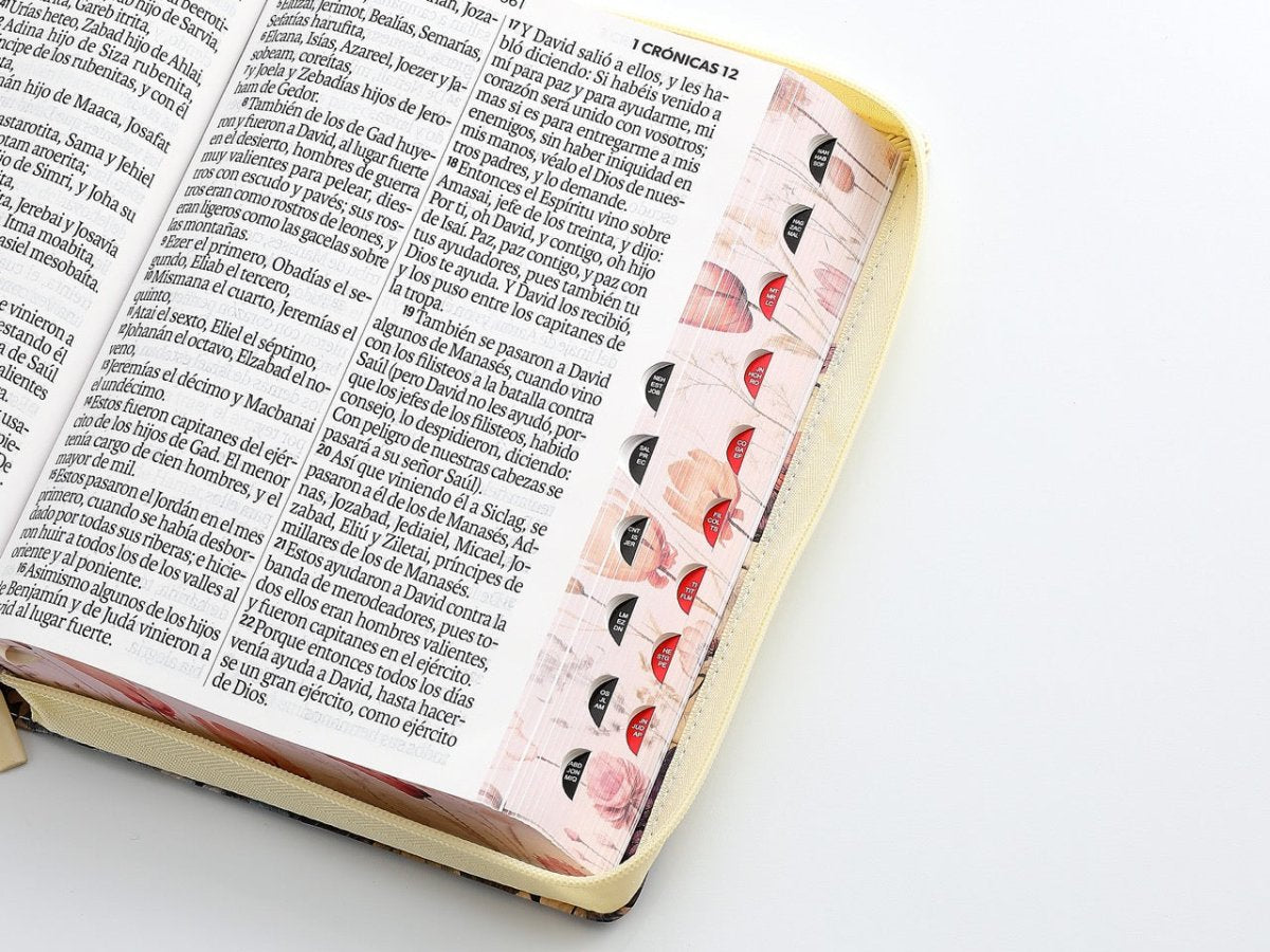 Biblia Reina Valera 1960 088Czti Lsgi 19P 16X23 Cp Jardín Vintage