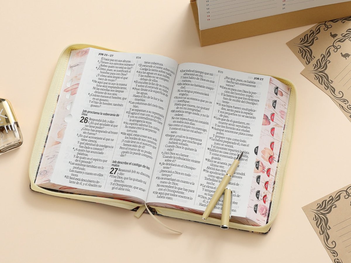 Biblia Reina Valera 1960 088Czti Lsgi 19P 16X23 Cp Jardín Vintage