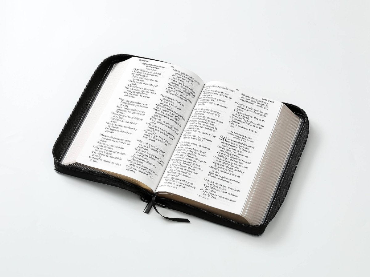Biblia Reina Valera 1960 – 068 – Con Concordancia – Letra 14 pts – 14x21 cm – Cierre – Gris/Negro – Esforzaos