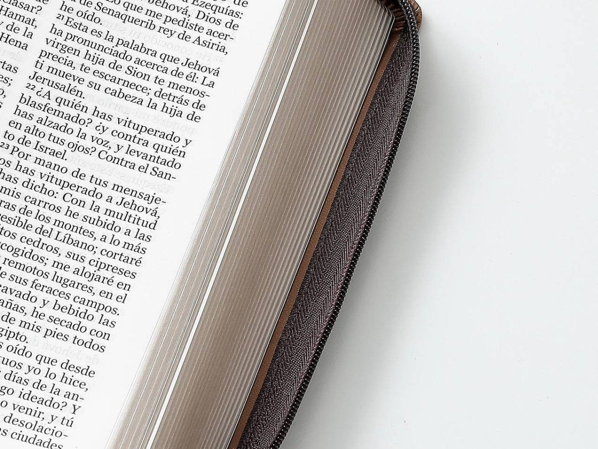 Biblia Reina Valera 1960 – 068 – Con Concordancia – Letra 14 pts – 14x21 cm – Cierre – Café – Montes