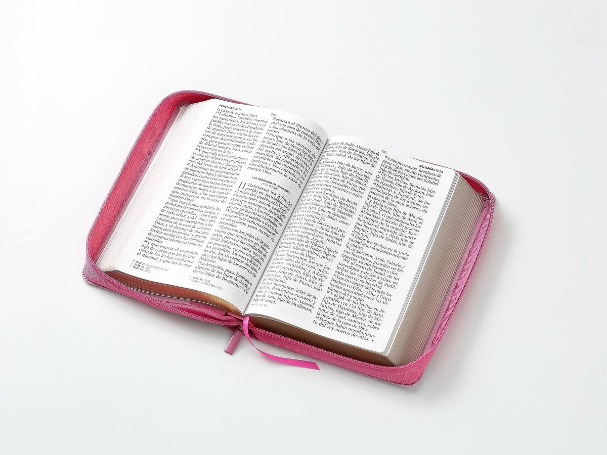 Biblia Reina Valera 1960 – 068 – Con Concordancia – Letra 14 pts – 14x21 cm – Cierre – Rosa – No Temas