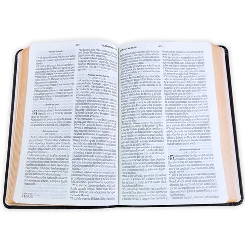 Biblia Reina Valera 1960 – 066 – Con Concordancia – Letra 11 pts – 14x22 cm – Marrón