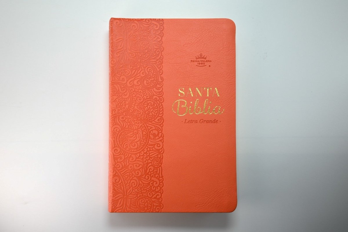 Biblia Reina Valera 1960 – 066 – Con Concordancia – Letra 11 pts – 14x22 cm – Coral