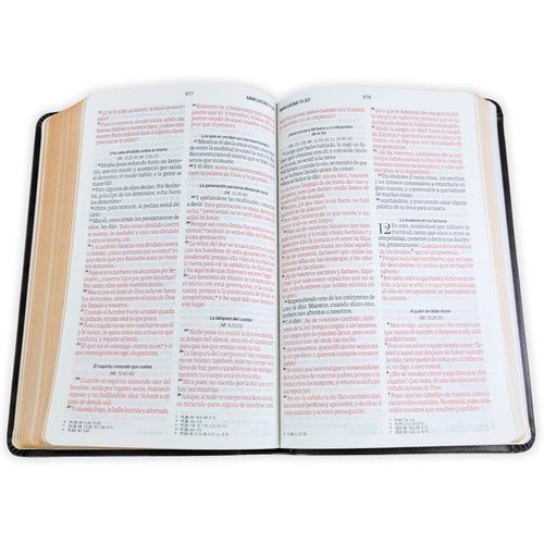 Biblia Reina Valera 1960 – 066 – Con Concordancia – Letra 11 pts – 14x22 cm – Café