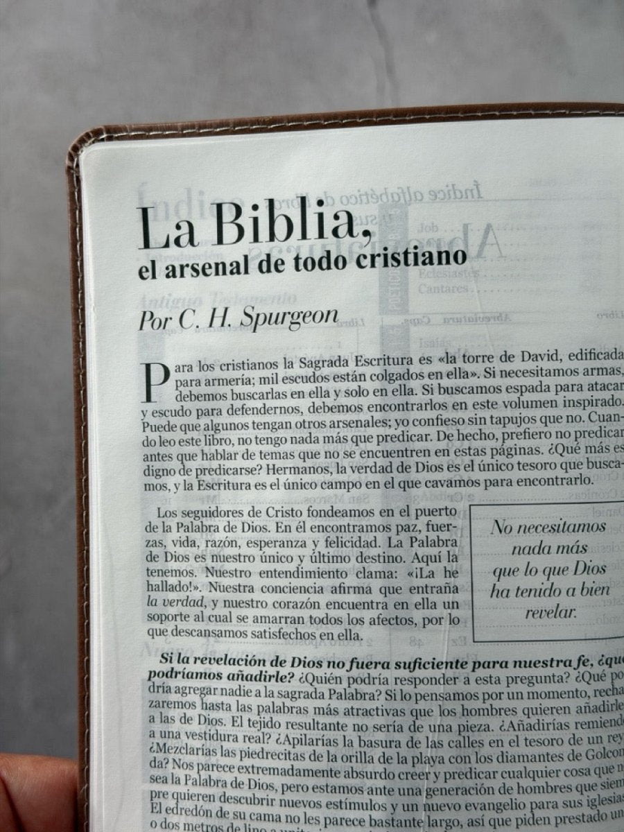 Biblia Reina Valera 1960 Exquisita – Con Concordancia – Letra 11 pts – 14x22 cm – Tapa PU – Mariposas en Primavera – Con Manija y Broche
