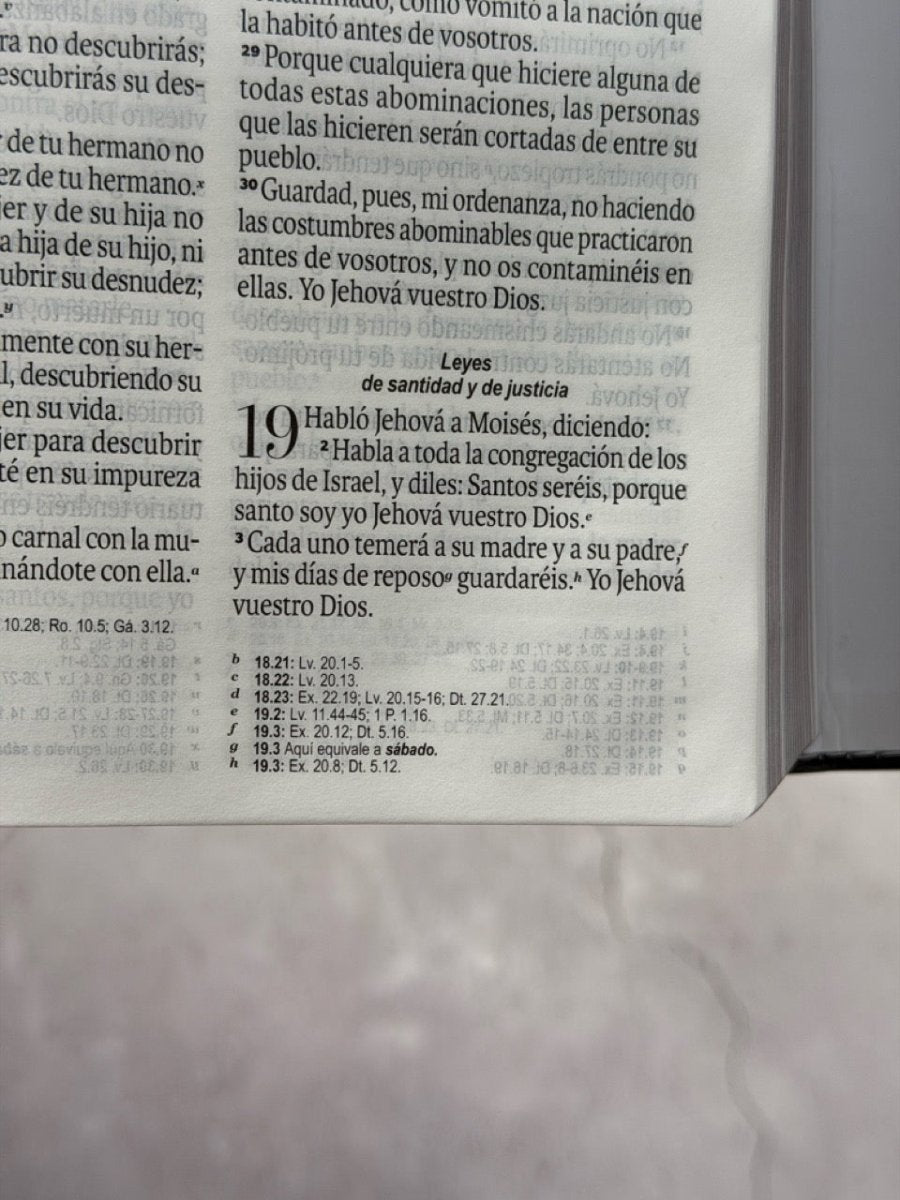 Biblia Reina Valera 1960 Exquisita – Con Concordancia – Letra 11 pts – 14x22 cm – Tapa PU – León de Judá – Con Manija y Broche