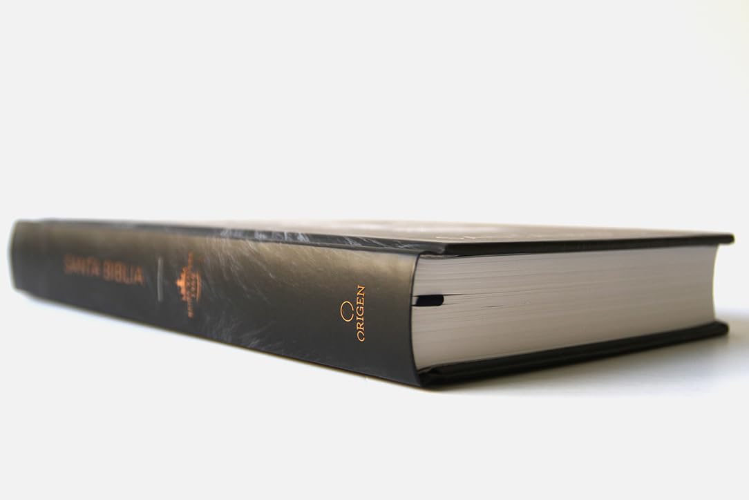 Biblia RVR 1960 Letra 10 Pts 14 X 21 TD León De Judá