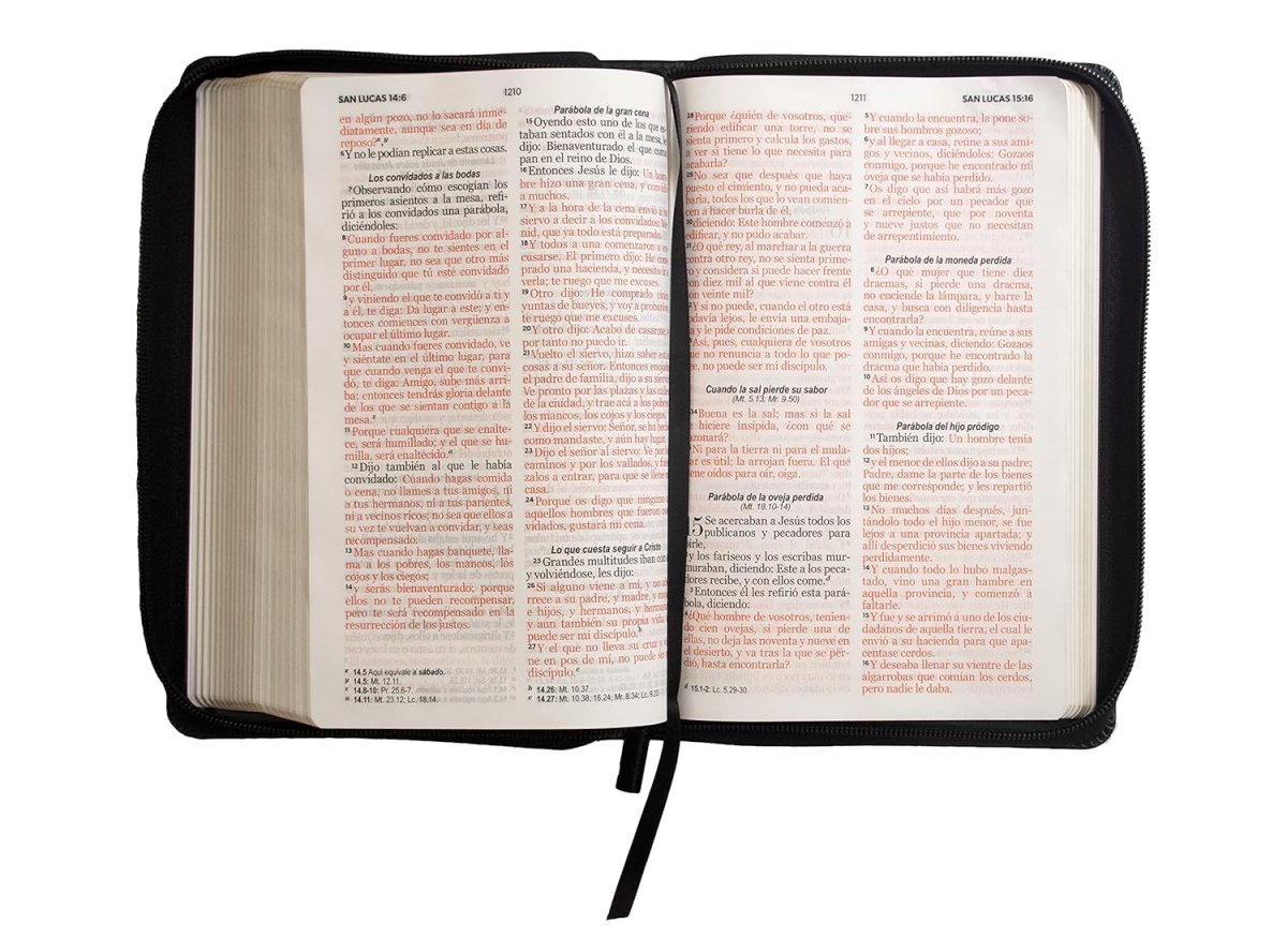 Biblia Reina Valera 1960 · 14x21cm · Letra grande 12 puntos · Con cierre · Edición clásica negra