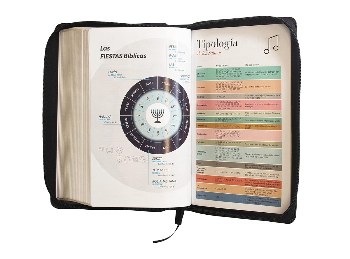 Biblia Reina Valera 1960 · 14x21cm · Letra grande 12 puntos · Con cierre · Edición clásica negra