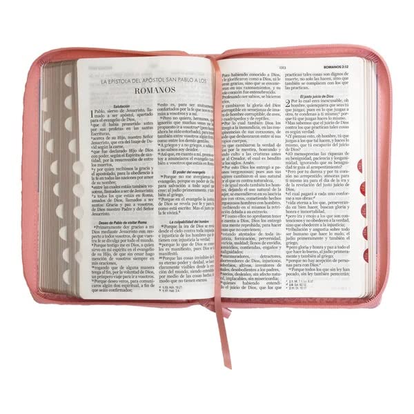Biblia Reina Valera 1960 · 13,8x21,2 cm · Letra grande 12,5 pt · Con cierre e índice · Diseño bitono rosa y azul
