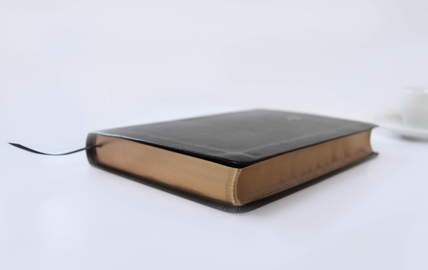 Biblia Reina Valera 1960 Imágenes Tierra Santa – Tapa Imitación Piel Negro, Letra 10pt, 14x21 cm