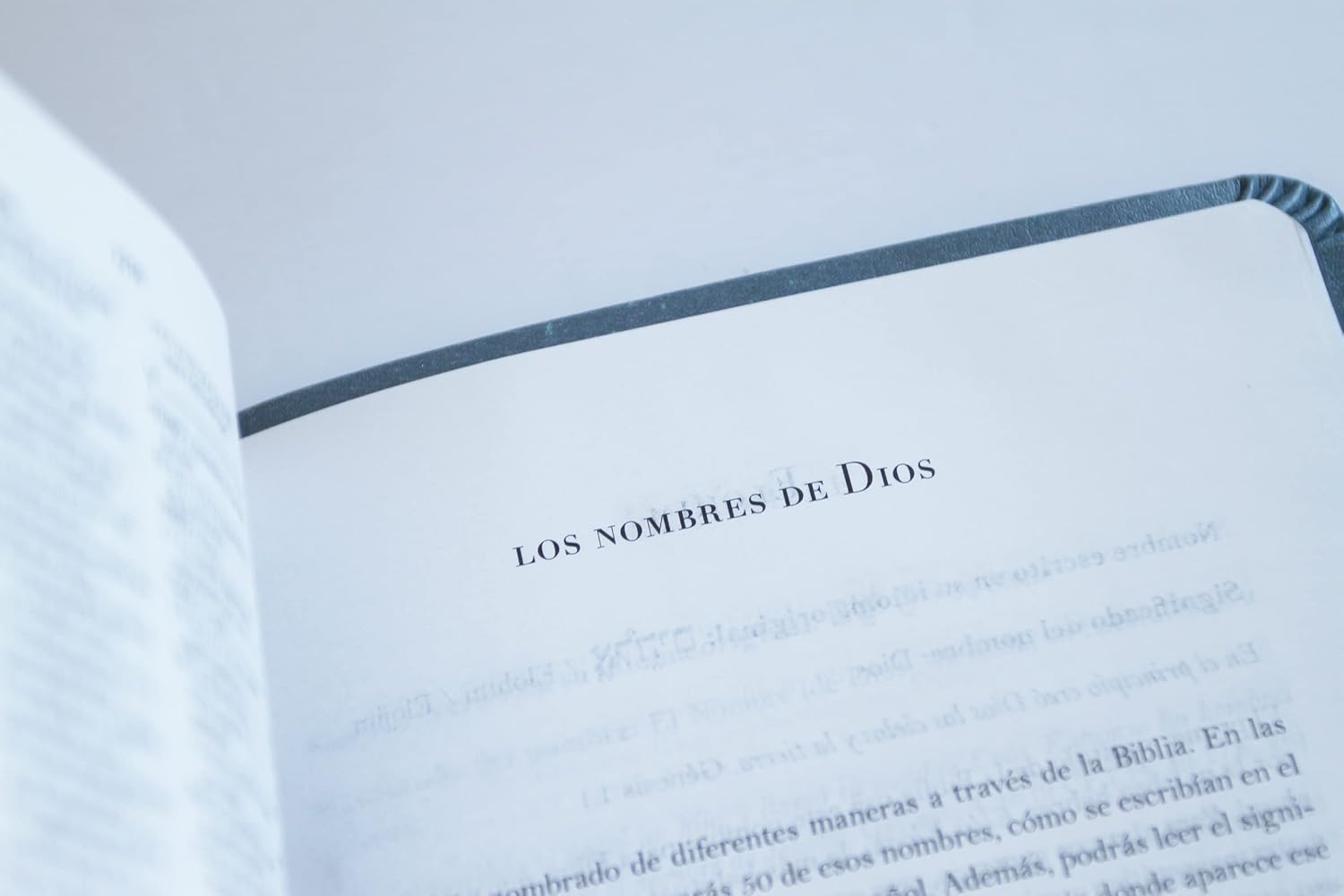 Biblia RVR 1960 Letra 10 Pts 14 X 21 Nombres De Dios Canela