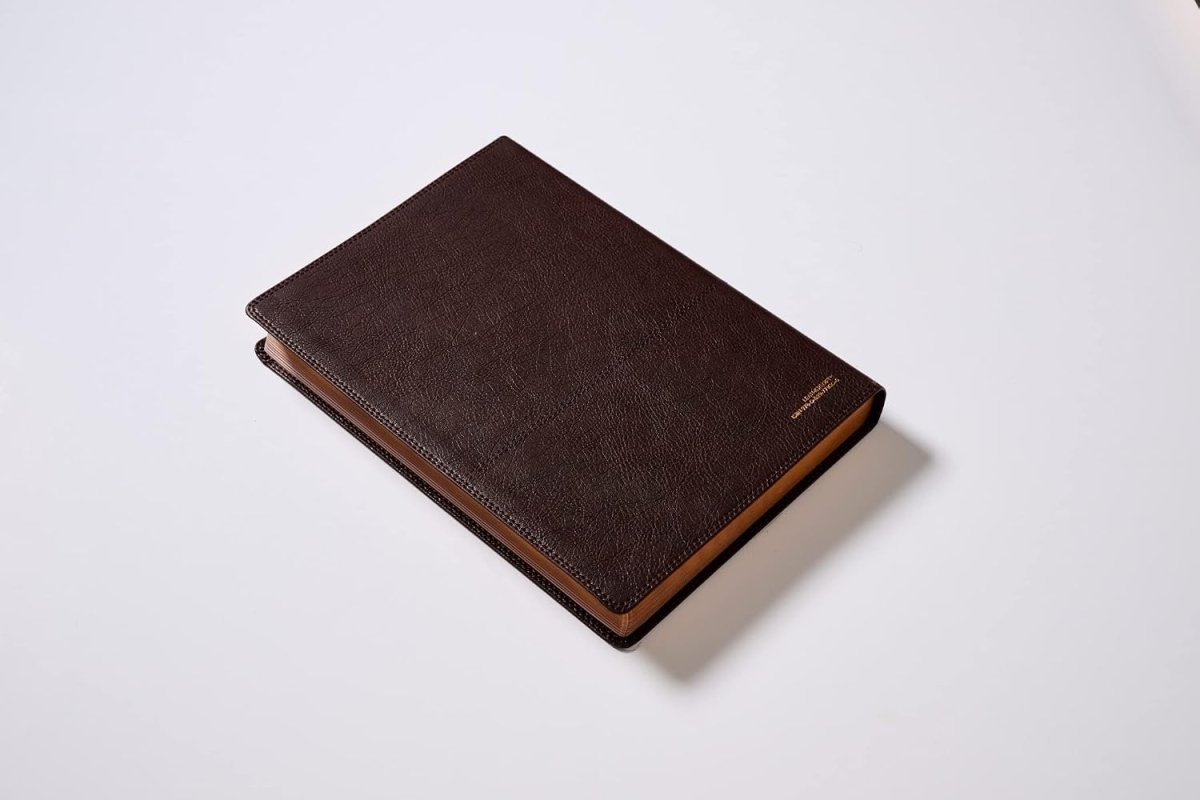 Biblia RVR Reflexiones De C. S. Lewis, Interior A Dos Colores, Leathersoft, Café