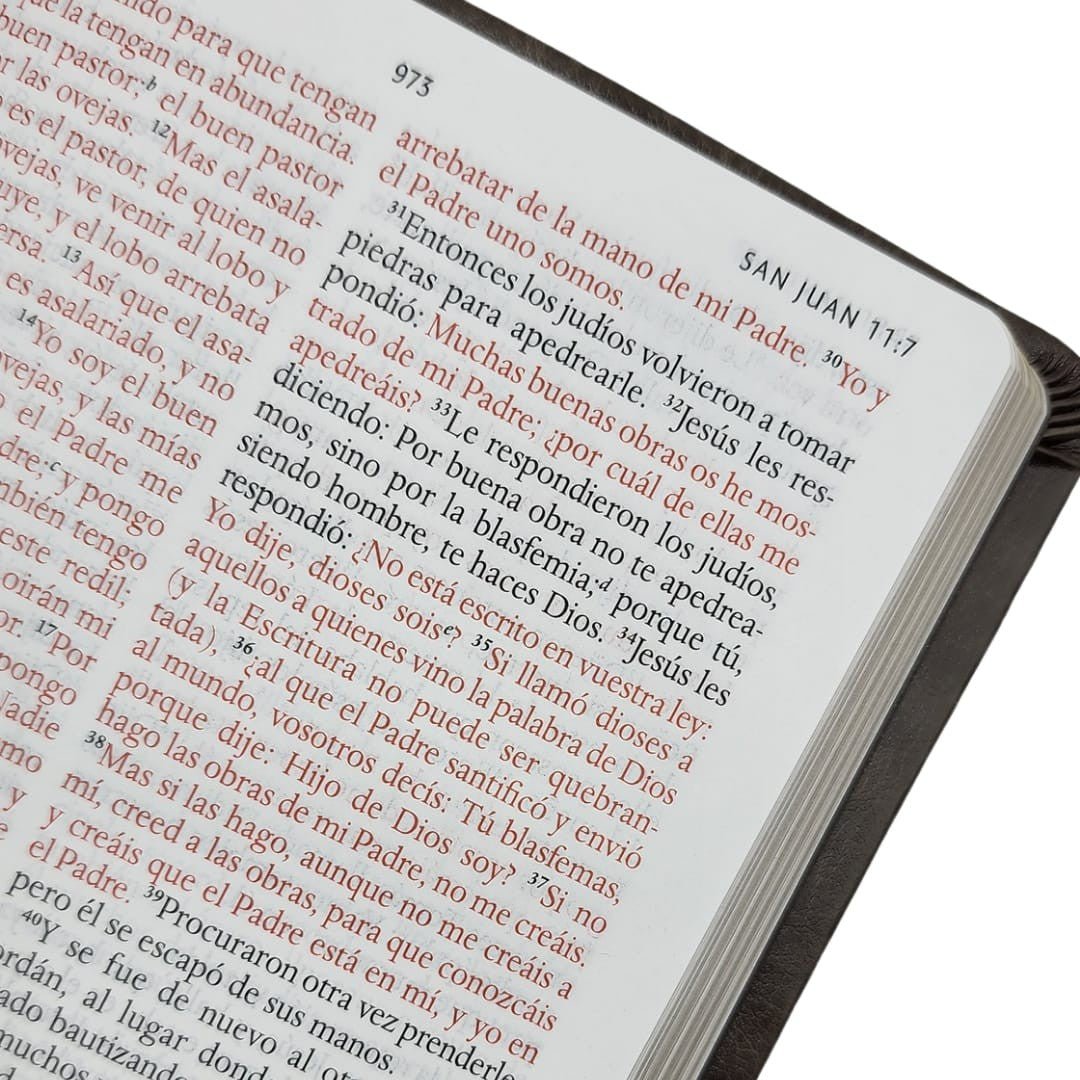Biblia RVR 1960 Letra 10 Pts 14 X 21 Nombres De Dios Gris