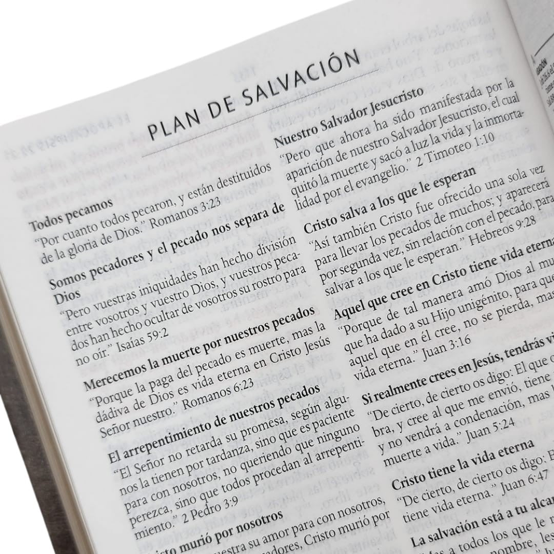 Biblia RVR 1960 Letra 10 Pts 14 X 21 Nombres De Dios Gris