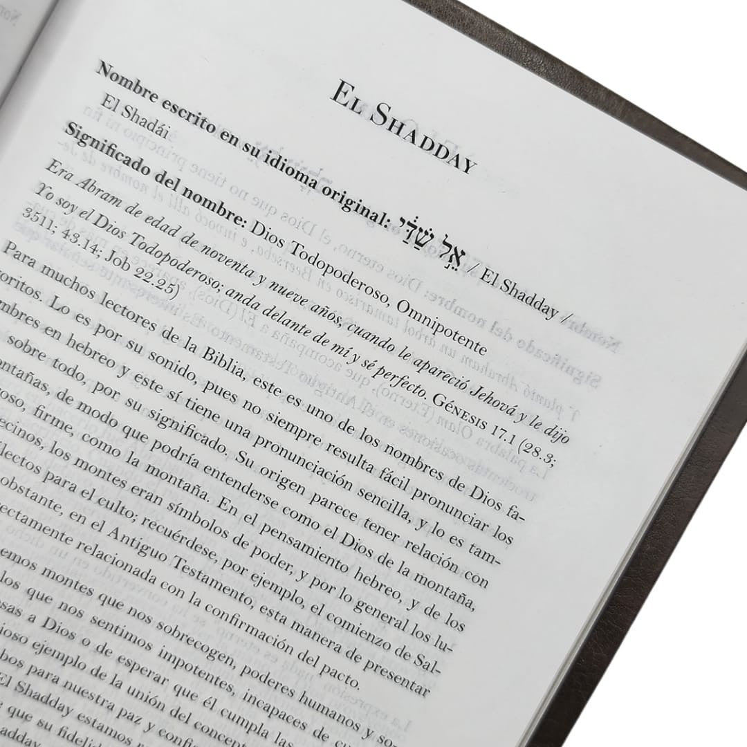 Biblia RVR 1960 Letra 10 Pts 14 X 21 Nombres De Dios Gris