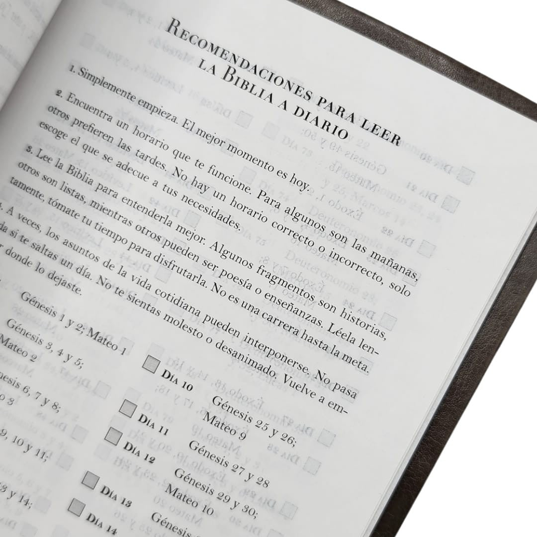 Biblia RVR 1960 Letra 10 Pts 14 X 21 Nombres De Dios Gris