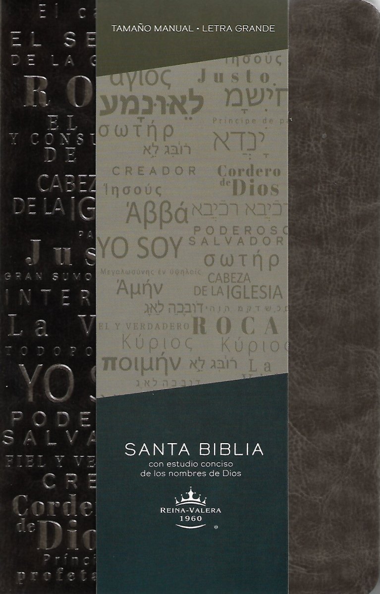 Biblia RVR 1960 Letra 10 Pts 14 X 21 Nombres De Dios Gris