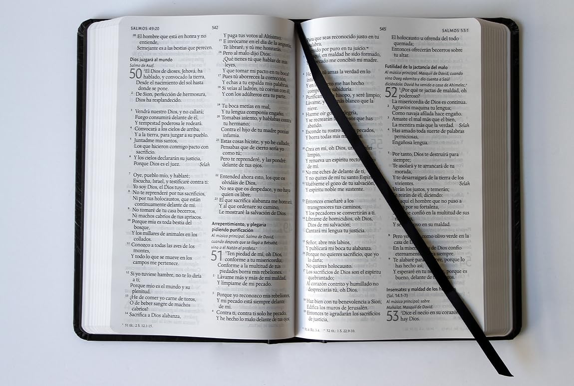 Biblia RVR 1960 Letra 10 Pts 14 X 21 TD León De Judá