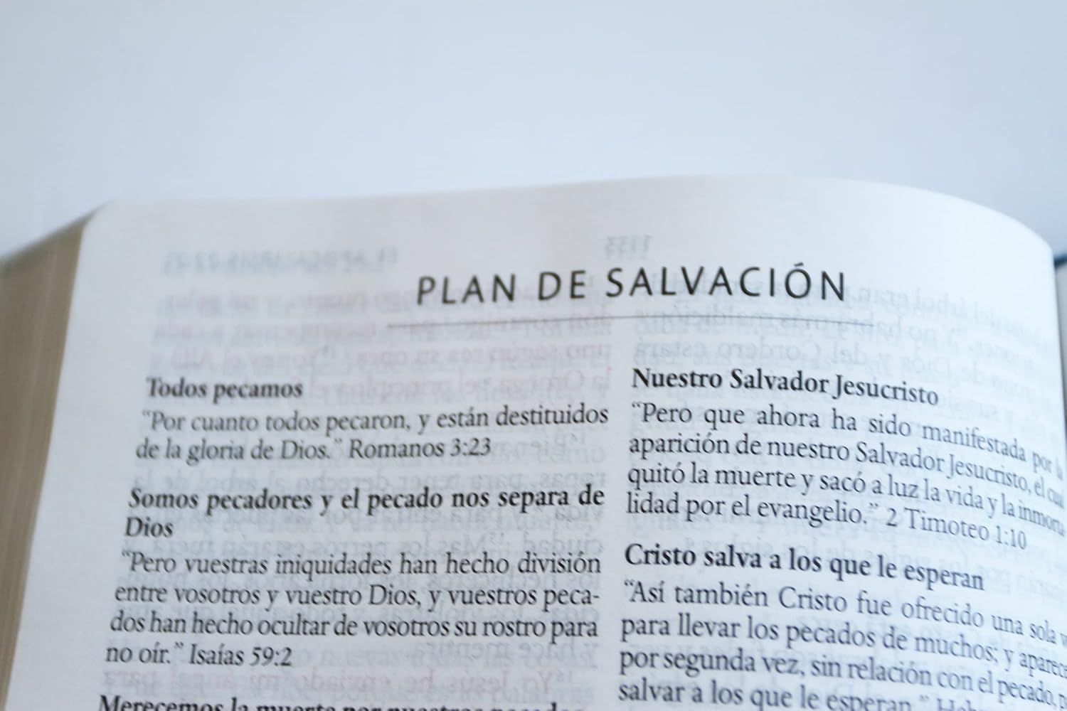 Biblia RVR 1960 Letra 10 Pts 14 X 21 Nombres De Dios Canela