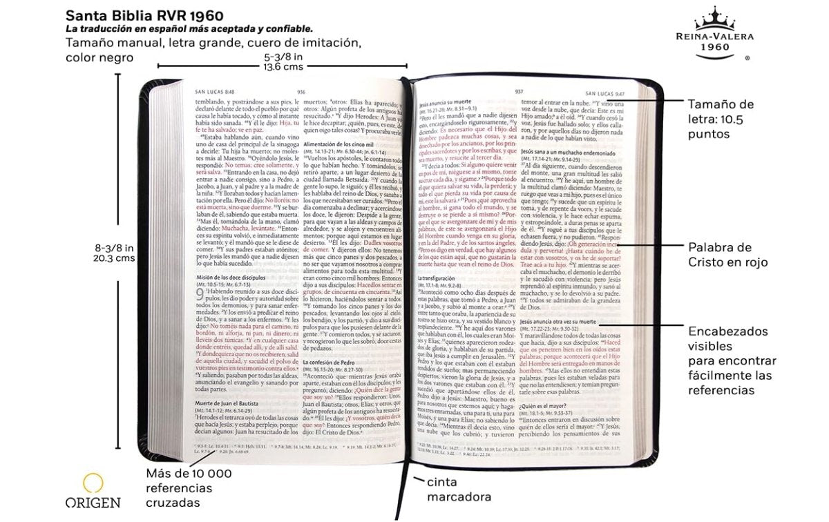 Biblia Reina Valera 1960 Imágenes Tierra Santa – Tapa Imitación Piel Negro, Letra 10pt, 14x21 cm