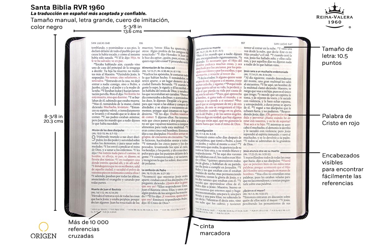 Biblia Reina Valera 1960 Imágenes Tierra Santa – Tapa Imitación Piel Negro, Letra 10pt, 14x21 cm