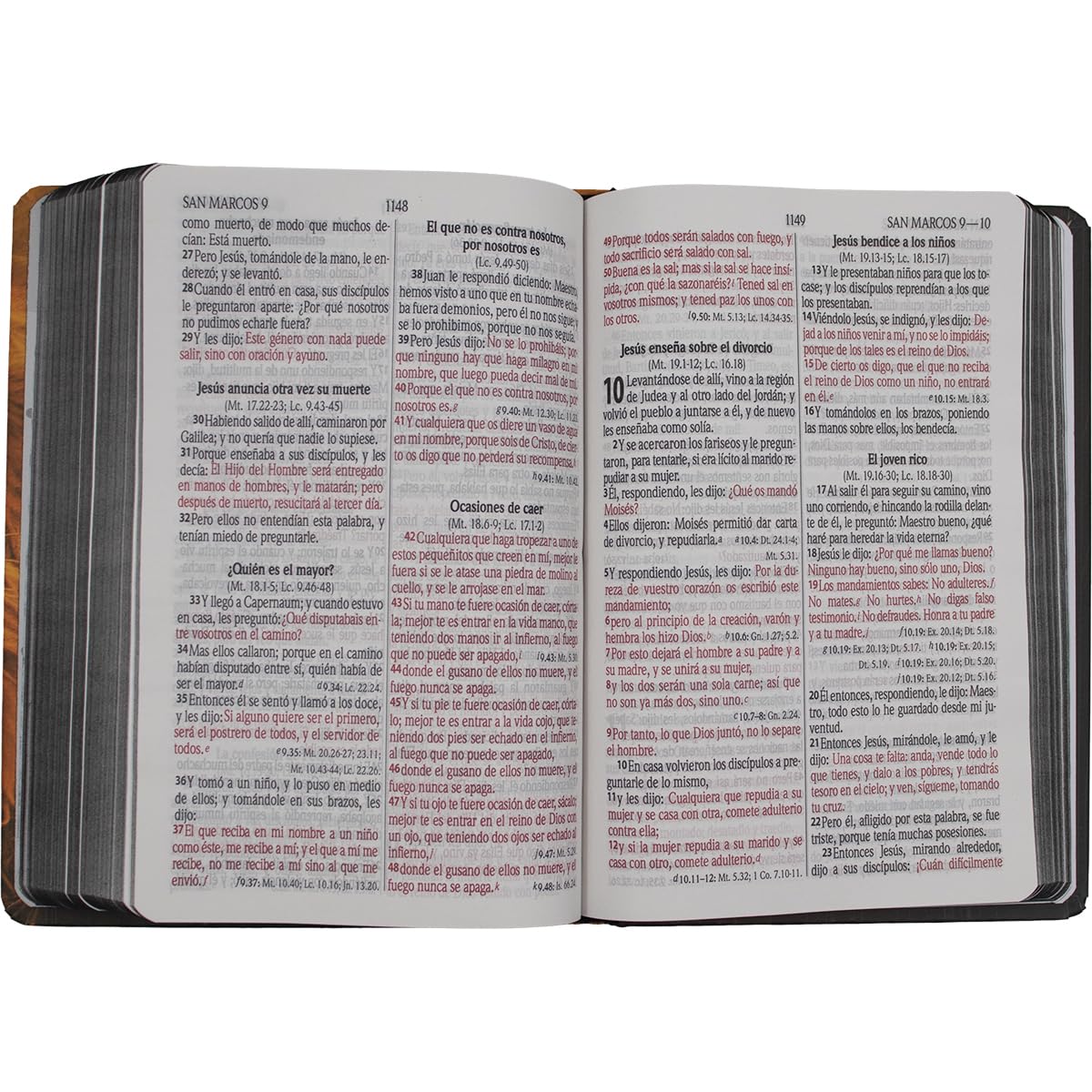 Biblia Reina Valera 1960 Letra Grande PJR tapa Dura León Naranja