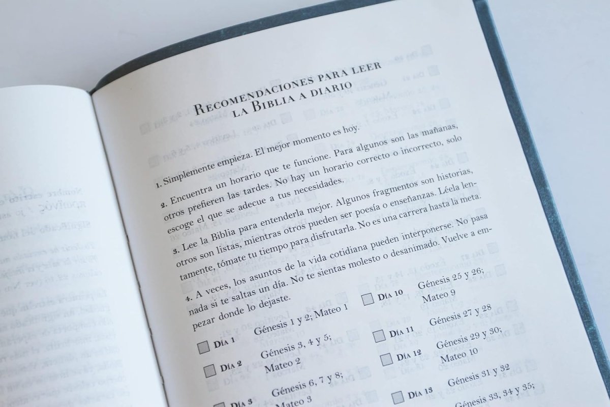 Biblia RVR 1960 Letra 10 Pts 14 X 21 Nombres De Dios Canela