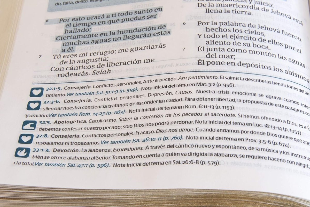 Biblia Del Pescador Reina Valera 1960, Letra Grande, Caoba Simil Piel