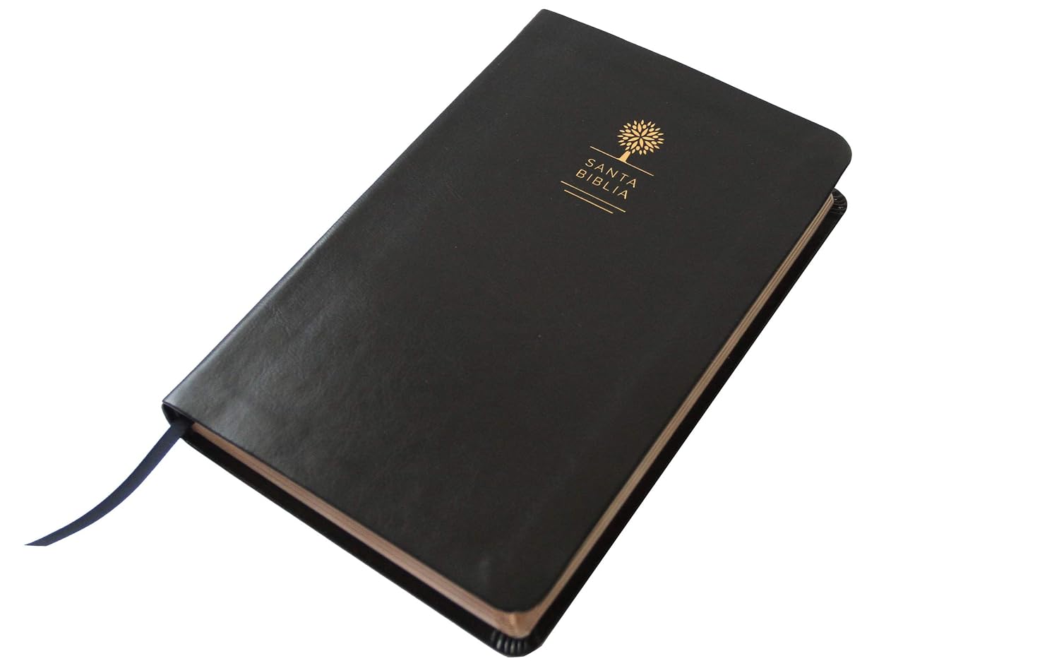 Biblia Reina Valera 1960 Imágenes Tierra Santa – Tapa Imitación Piel Negro, Letra 10pt, 14x21 cm