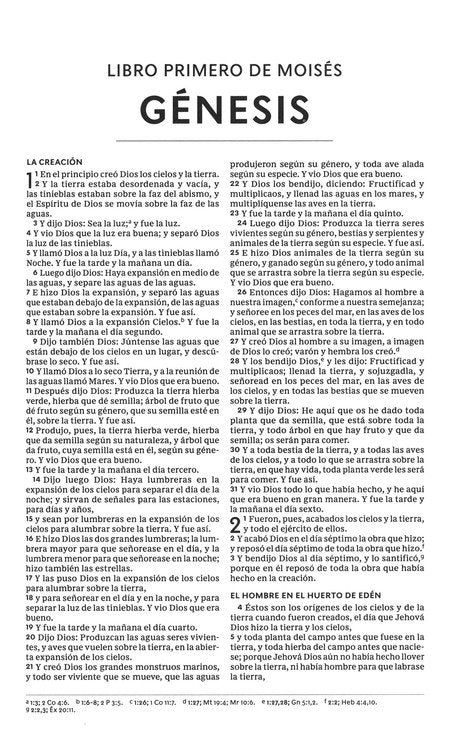 Biblia Reina Valera 1960 del Nuevo Creyente ‘Todo Nuevo’ – Tapa Imitación Piel Marrón