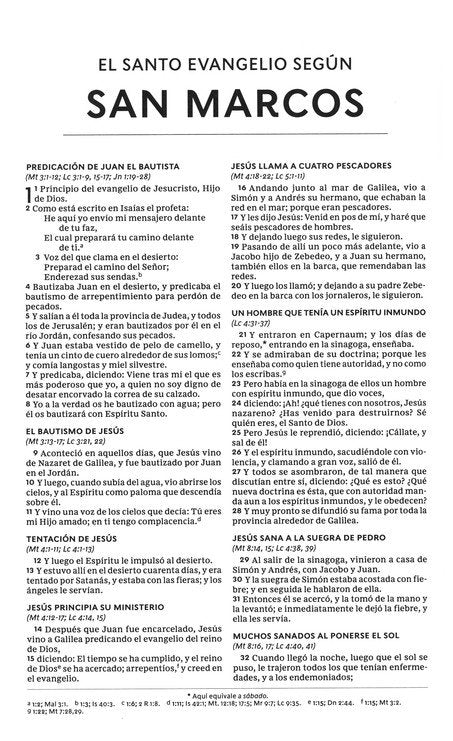 Biblia Reina Valera 1960 del Nuevo Creyente ‘Todo Nuevo’ – Tapa Imitación Piel Marrón