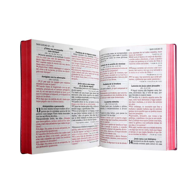 Biblia Letra Gigante Tapa Blanda Marron Reina Valera 1960