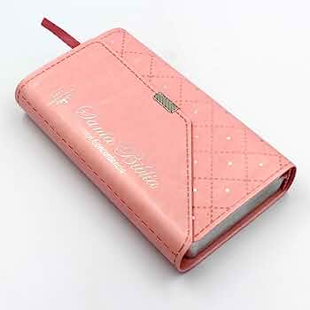 Biblia Rosa Estuche Tipo Cartera Elegante Reina Valera 1960