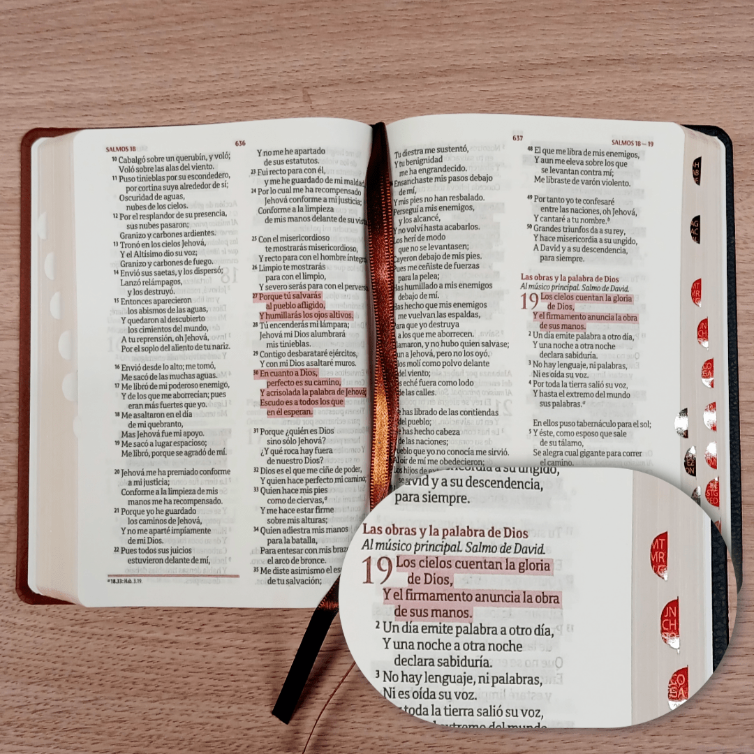 Biblia Mediana Fuente De Bendiciones Reina Valera 1960