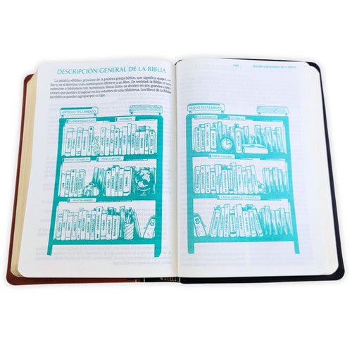 Biblia Mediana Fuente De Bendiciones Reina Valera 1960