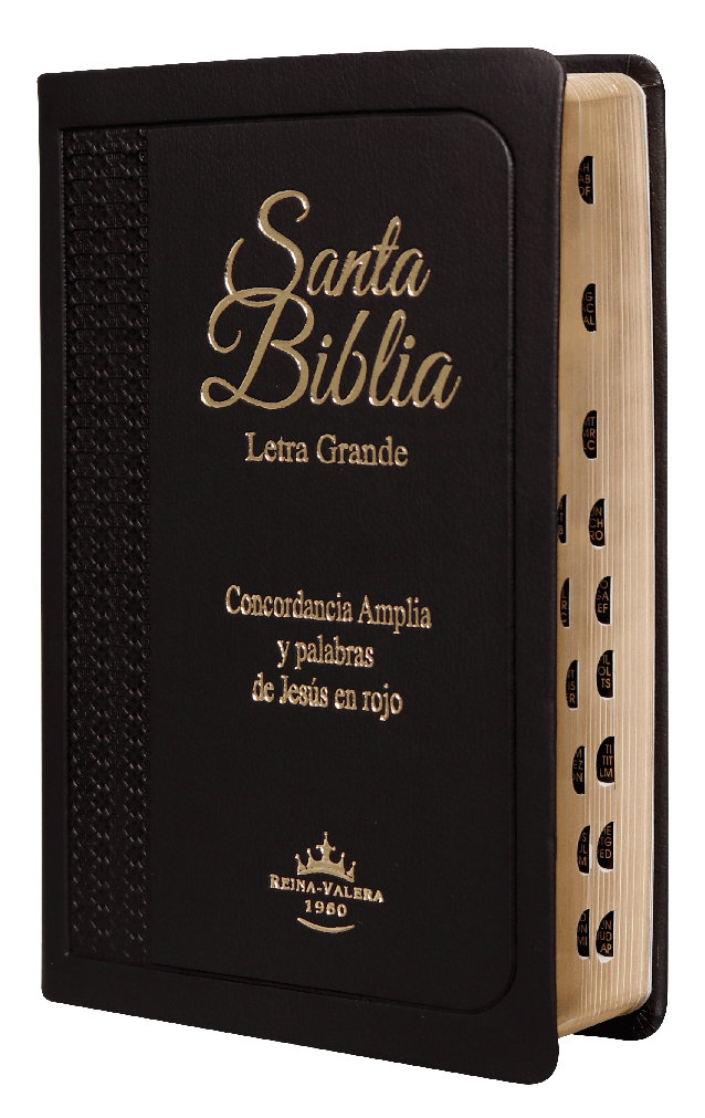 Biblia Reina Valera 1960 Para Hombre Letra Grande Negra