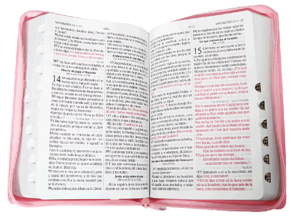 Biblia Reina Valera 1960 Letra Grande Cierre Indice Concordancia Canto Plateado Tapa Pu Rosa