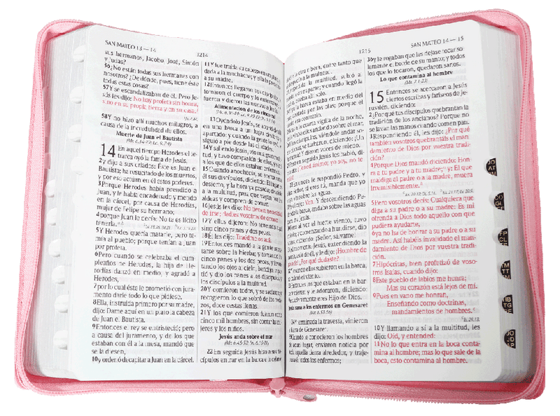 Biblia Reina Valera 1960 Letra Grande Cierre Indice Concordancia Canto Plateado Tapa Pu Rosa