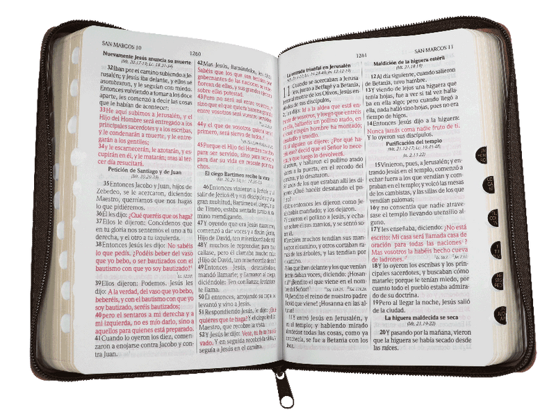 Biblia Reina Valera 1960 Letra Grande Cierre Indice ConcordanciaCanto Dorado Tapa Pu Marrón