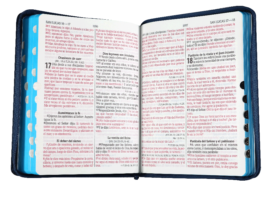 Biblia Reina Valera 1960 Letra Gigante PJR Cierre Jeans