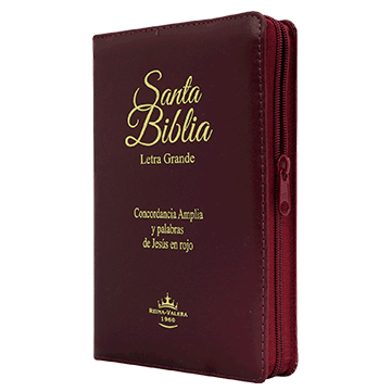 Biblia Reina Valera 1960 Letra Grande Concordancia Cierre Indice Bordo Tapa Fina