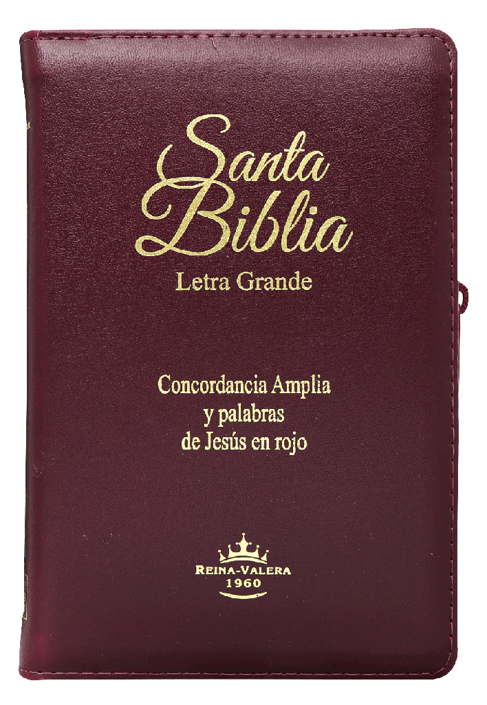 Biblia Reina Valera 1960 Letra Grande Concordancia Cierre Indice Bordo Tapa Fina