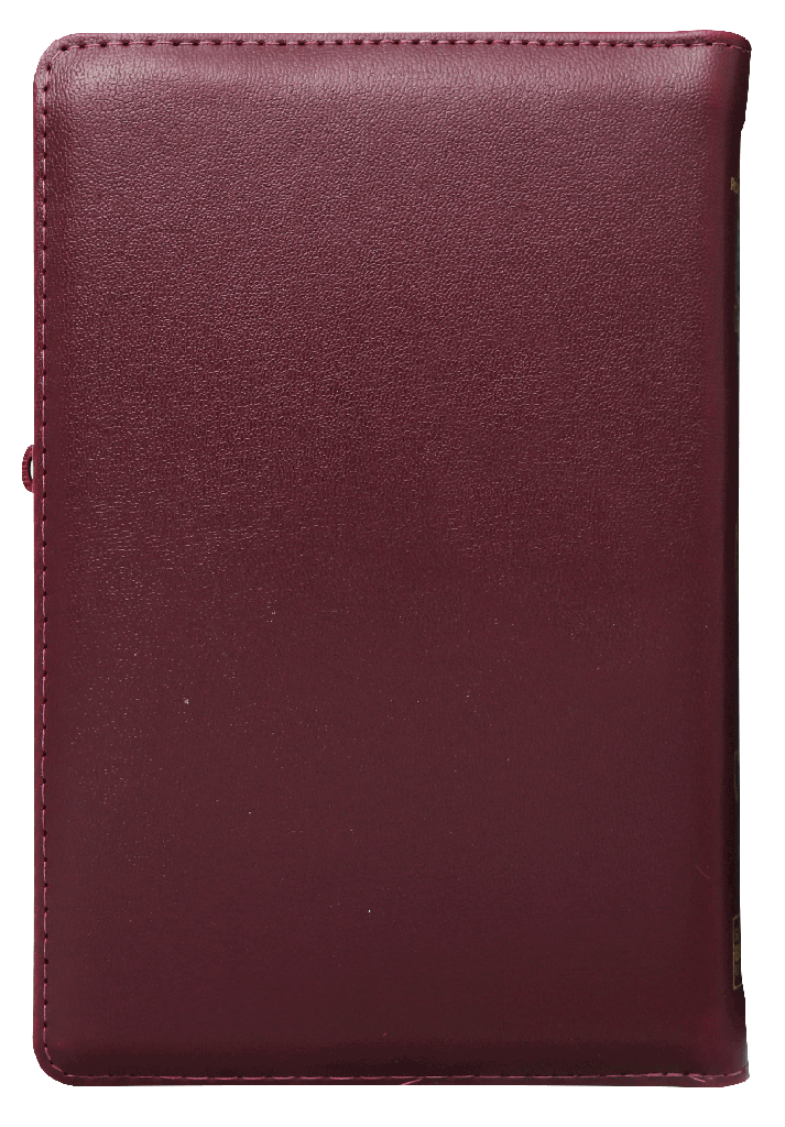 Biblia Reina Valera 1960 Letra Grande Concordancia Cierre Indice Bordo Tapa Fina