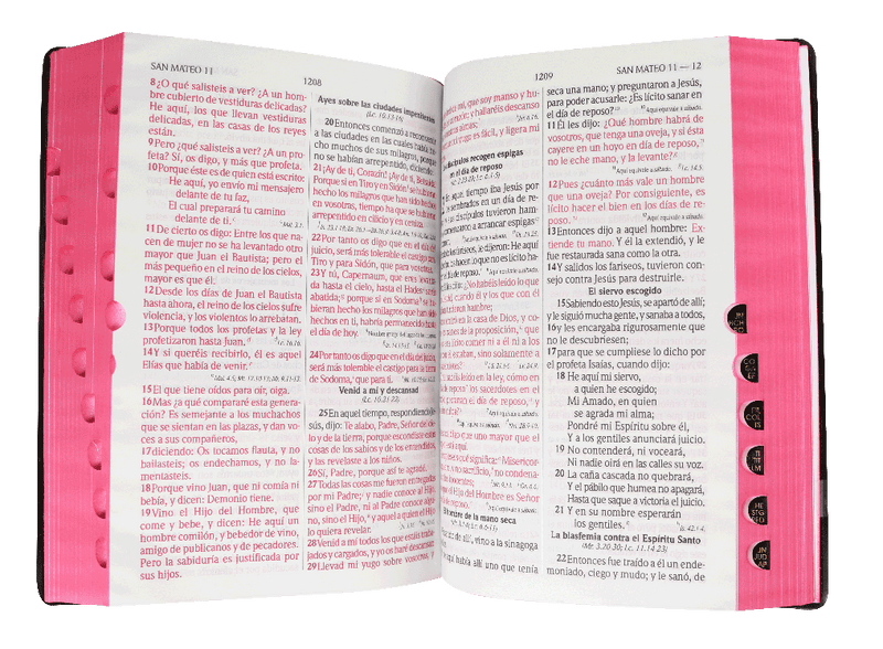 Biblia Reina Valera 1960 Letra Grande Negro Flexible