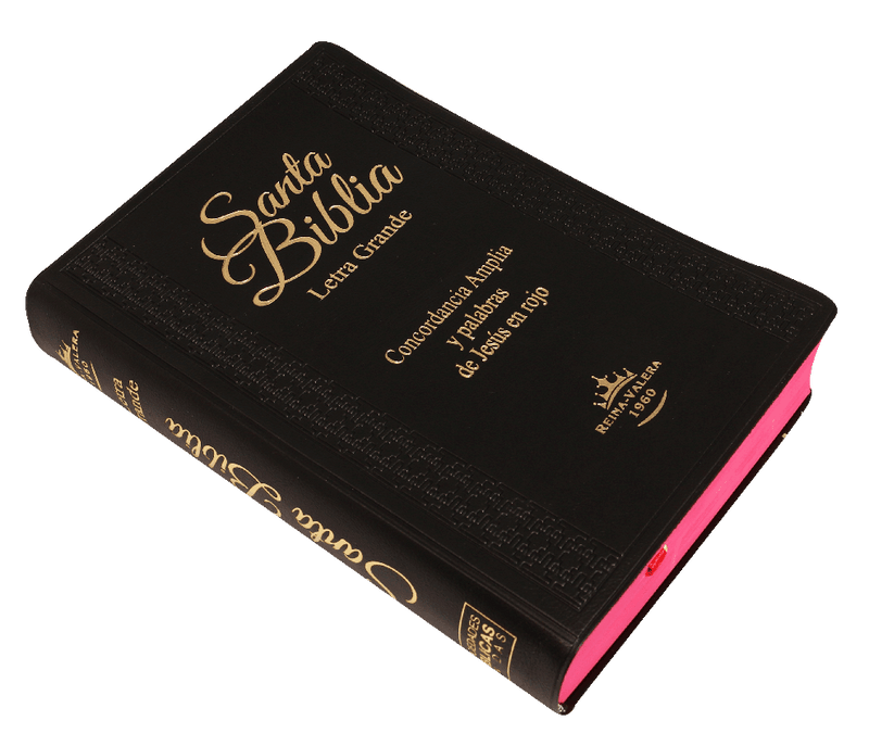 Biblia Reina Valera 1960 Letra Grande Negro Flexible