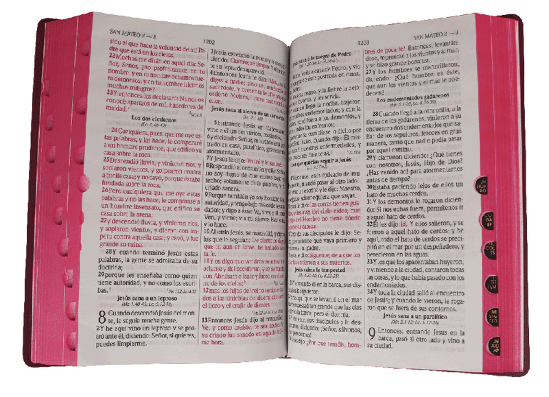Biblia Reina Valera 1960 Letra Grande Bordo Flexible