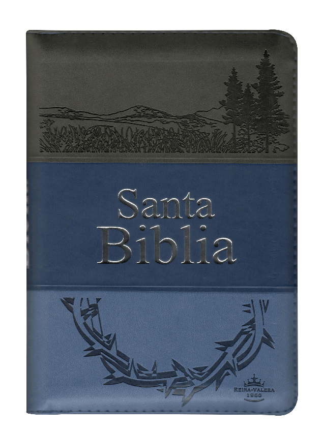 Biblia Reina Valera 1960 Letra Grande Cierre Imitación Piel Tapa Pu Tritono Azul